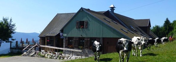 Camping finistère avec piscine couverte : détente en famille à brest